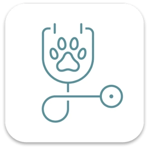 Medicina Interna 2_WEBP